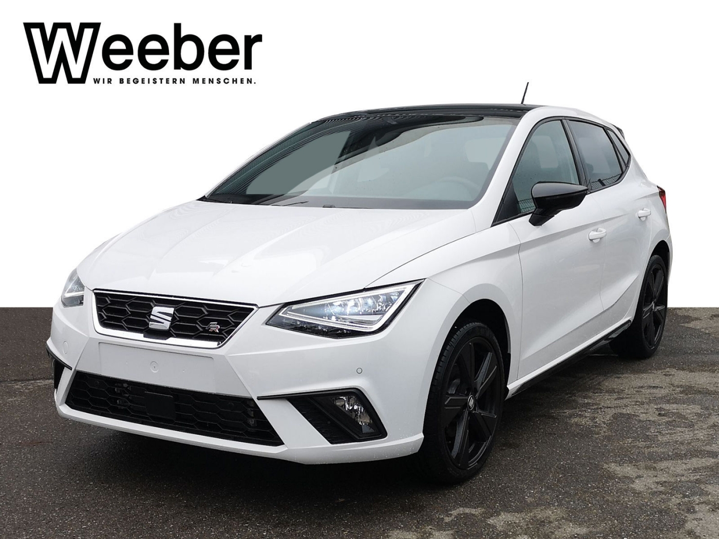 seat ibiza 1000 tsi